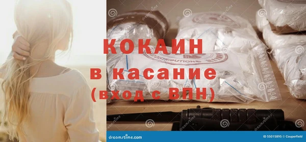 ПСИЛОЦИБИНОВЫЕ ГРИБЫ Пересвет