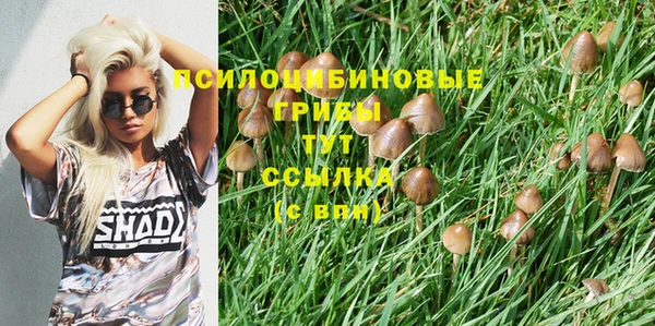 ПСИЛОЦИБИНОВЫЕ ГРИБЫ Пересвет