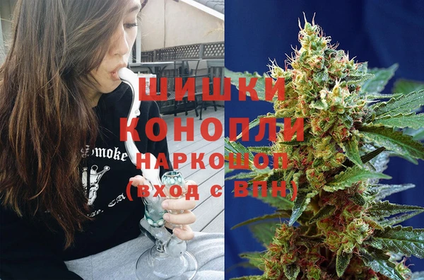 ПСИЛОЦИБИНОВЫЕ ГРИБЫ Пересвет