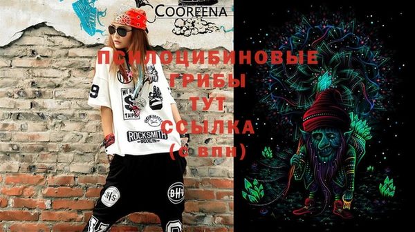 ГАЛЛЮЦИНОГЕННЫЕ ГРИБЫ Переславль-Залесский