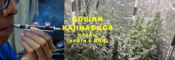 ПСИЛОЦИБИНОВЫЕ ГРИБЫ Пересвет