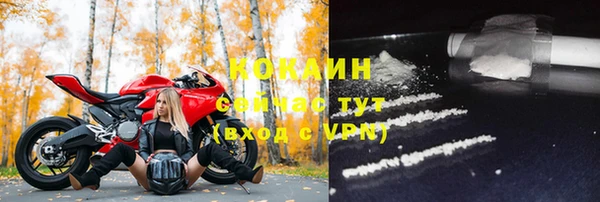 ПСИЛОЦИБИНОВЫЕ ГРИБЫ Пересвет