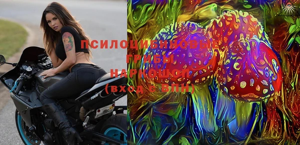 ГАЛЛЮЦИНОГЕННЫЕ ГРИБЫ Переславль-Залесский