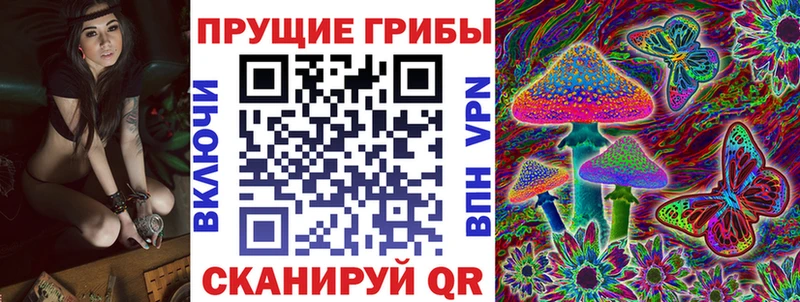Галлюциногенные грибы Psilocybine cubensis  Купить где  Ачхой-Мартан 